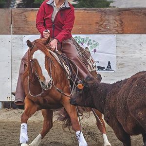 Meet your Posher, Linda